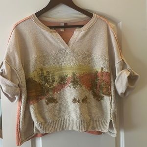 Anthropologie sweater